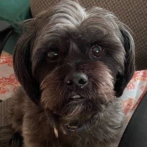 Meet your Posher, Lori